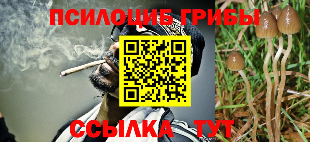 Псилоцибиновые грибы GOLDEN TEACHER Северобайкальск