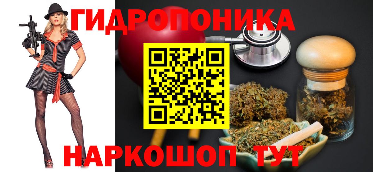 Канабис планчик  МАРИХУАНА семена  Вход с VPN  Каннабис индика  Бошки Шишки Bruce Banner  Северобайкальск 